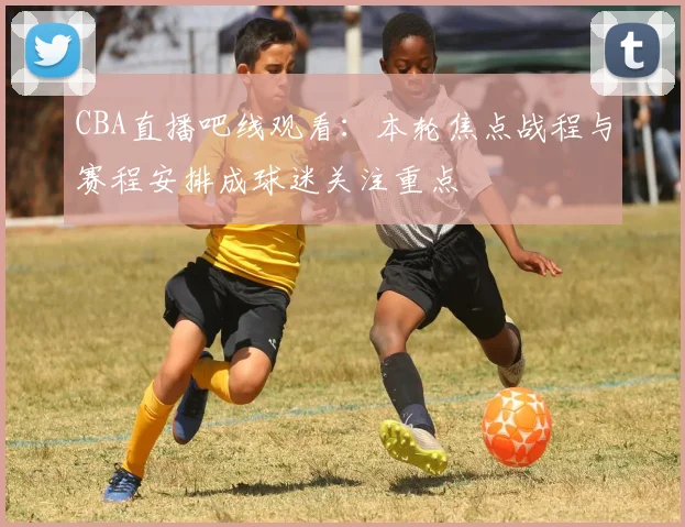 CBA直播吧线观看：本轮焦点战程与赛程安排成球迷关注重点